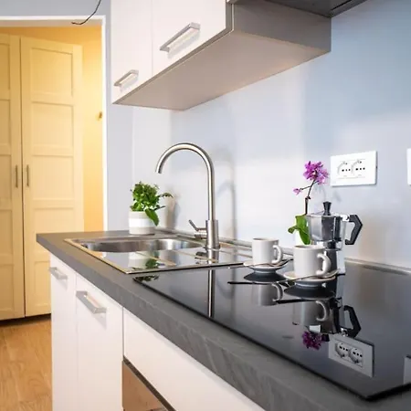 Luminoso Art Gallery 포를리